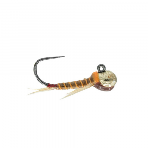 Umpqua Golden Nugget - Graffam's - Golden - 16