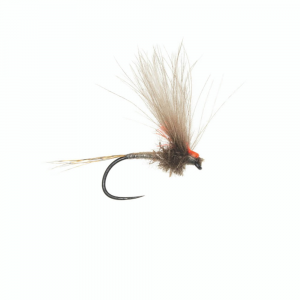 Umpqua Antonios's Adult - PMD - 19