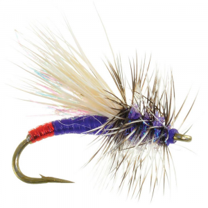 Umpqua Mini Hot - Purple - 18
