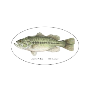 Pescador On The Fly Largemouth Decal - Largemouth - One Size