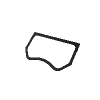 Honda Talon 1000 Cage (4-Seat) Windshield