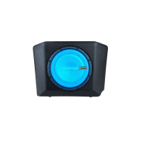 CANAMDEF10SE &verbar; Memphis Can-Am Defender Subwoofer