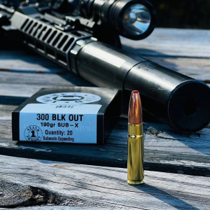 Stand 1 Armory 300 Blk 190gr Hornady Sub-X Subsonic - New Brass -  20