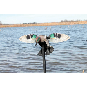 Mojo Outdoors Elite Series Decoy, Green Wing Teal - HW2474