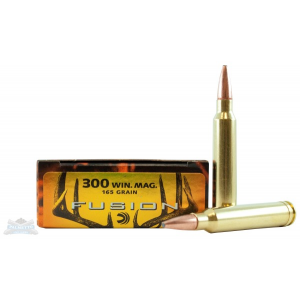 F300WFS2 Ammo