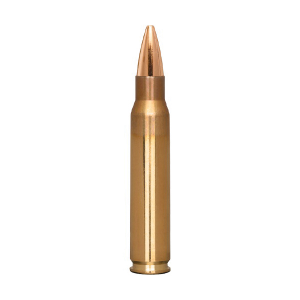 20rds - 23020 Ammo