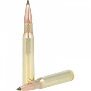 20rds - R21344 Ammo