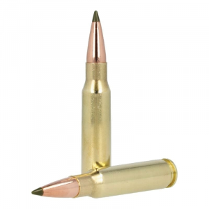 20rds - R21345 Ammo