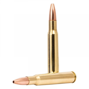 20rds - R27853 Ammo