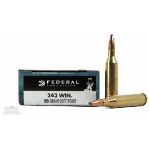 243B Ammo