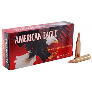 AE22250G Ammo