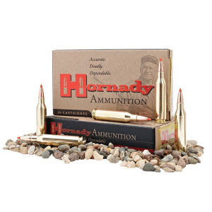 81197 Ammo