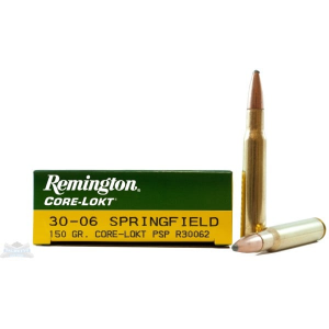 R30062 Ammo