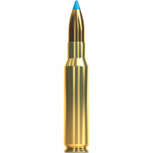 20rds - SB308XA Ammo