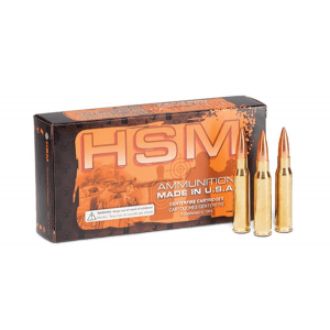 HSM-300BLK-4-N Ammo