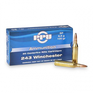 PP2432 Ammo