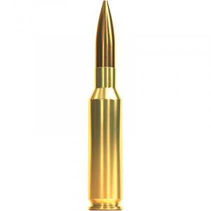 20rds - SB65E Ammo