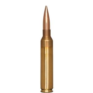 20rds - 55010 Ammo