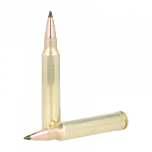 20rds - R21346 Ammo