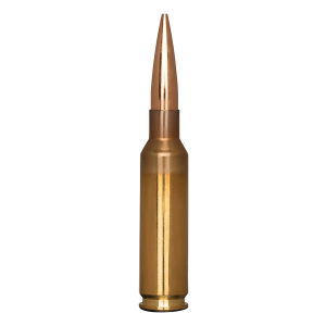 20rds - 31011 Ammo