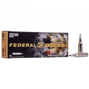 P300WSMTA1 Ammo