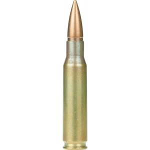 AC3082N Ammo