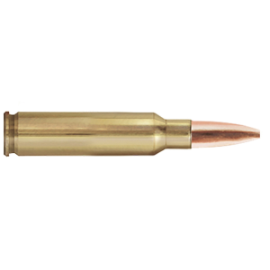 PPMK65C Ammo