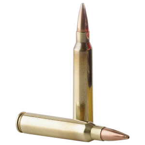 PPMK223 Ammo