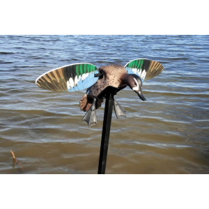 Mojo Outdoors Elite Series Blue Wing Teal Decoy, Duck - HW2475