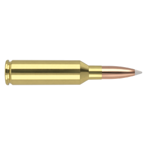 20rds - 61014 Ammo