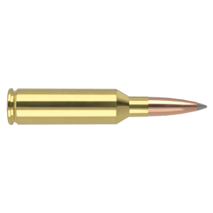 20rds - 61232 Ammo