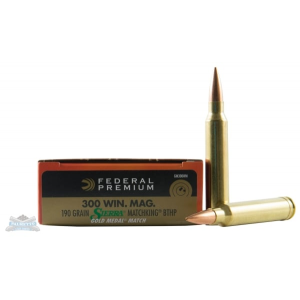 GM300WM Ammo