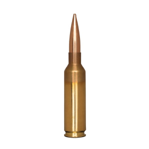 20rds - 50010 Ammo