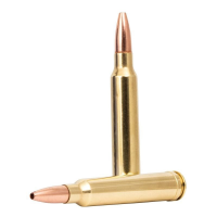 Remington Core-Lokt .300 Win Mag 180 gr Ammo Copper HP - 20rds - R27858