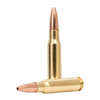 Remington Core-Lokt .308 Win 150 gr Ammo Copper HP - 20rds - R27854