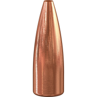 Speer TNT 50 gr JHP Rifle Bullet, 100/pack - 1030