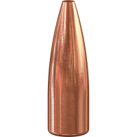 Speer TNT .22 55 gr JHP Rifle Bullet, 100/pack - 1032