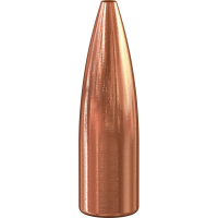 Speer TNT .25 87 gr JHP Rifle Bullet, 100/pack - 1246