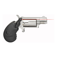 North American Arms Mini Revolver .22 WMR Revolver, 1.125" Barrel, Fixed Sights, Silver - NAA22MSVL