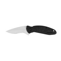 Kershaw Scallion Drop Point Folder Knife, 2.4", Partially Serrated Edge, Black - 1620ST