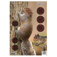 Birchwood Casey Pregame Squirrel Target (8-Pack) - 35406