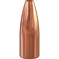 Speer Varminter .30 130 gr JHP Rifle Bullet, 100/pack - 2005