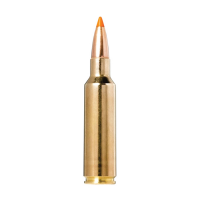 Norma Tipstrike .300 WSM 170 gr PT 20rds Rifle Ammo for Powerful Long-Range Accuracy - 20174022