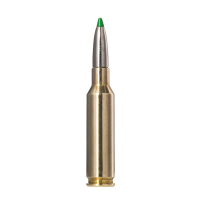 Norma Ecostrike 6.5 Creedmoor 120 gr PTBT 20rds Rifle Ammo for Effective Hunting - 20166572