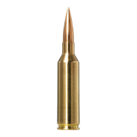 Norma Golden Target Match 6.5 PRC 143 gr BTHP 20rds Rifle Ammo for Target Shooting Excellence - 10166462