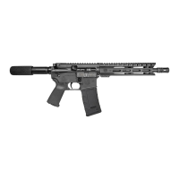 Diamondback Firearms DB15 .300 AAC Blackout 10" AR Pistol, Black - DB1915B001