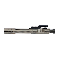 F-1 Firearms Durabolt AR-15 Bolt Carrier Group Assembly, Black - DB556DLC