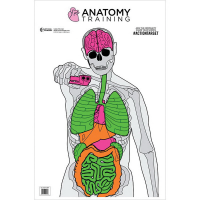 Action Target 23" x 35" Silhouette/Vital Anatomy Training Target, 100/box - GS-ANATOMY-100