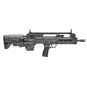 Hellion 5.56 16 Black 10RD
