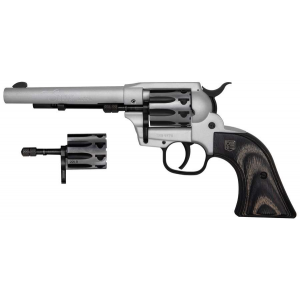 DBF DB SILVER SK 22LR|22M 9 TL
